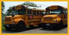 Buses
